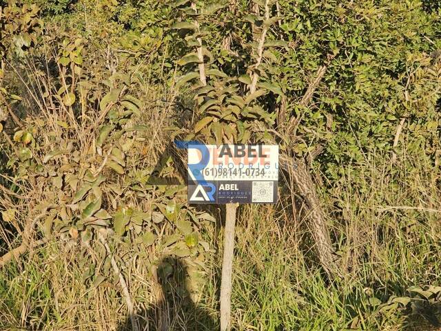 Área para Venda em Luziânia - 4
